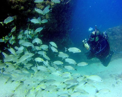 2-Tank Scuba Dive in Puerto Vallarta