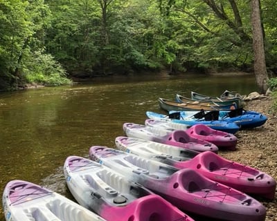 3-4-Hour Canoe & Kayak Trip From Hudson Mills