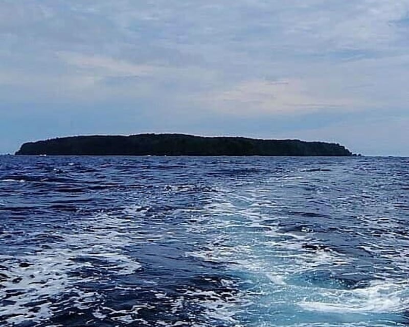 Full-Day Isla del Caño Snorkeling Tour from Uvita