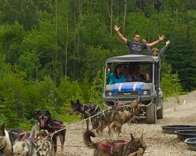 Yukon Scenery, Sled Dogs & Emerald Lake Tour
