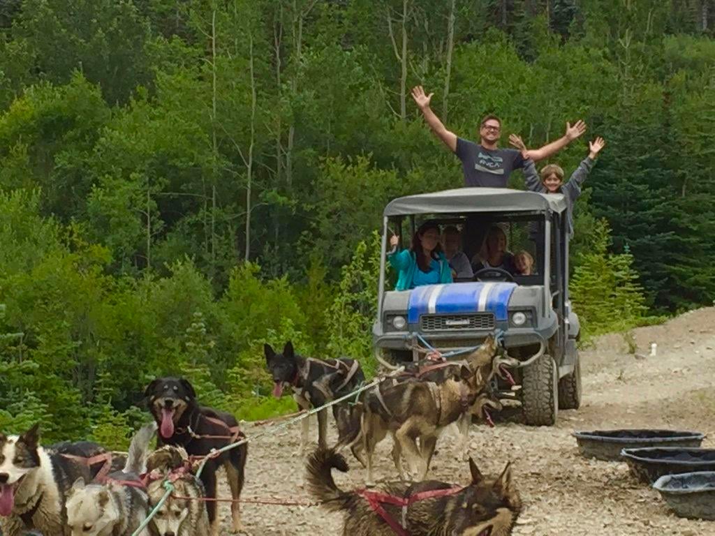 Yukon Scenery, Sled Dogs & Emerald Lake Tour
