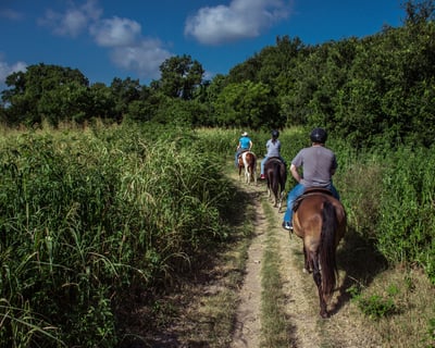 45-Minute Guided Horseback Riding Lesson in Austin