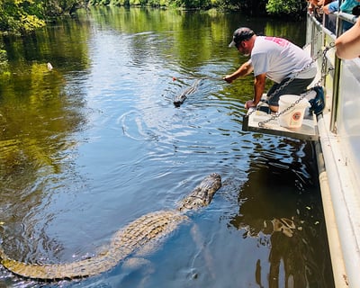 Manchac Swamp Boat Cruise & Whitney Plantation Tour