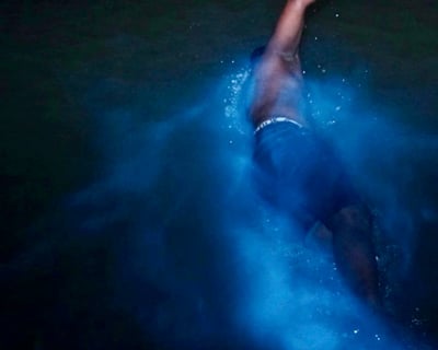 Luminous Lagoon Night Cruise in Falmouth