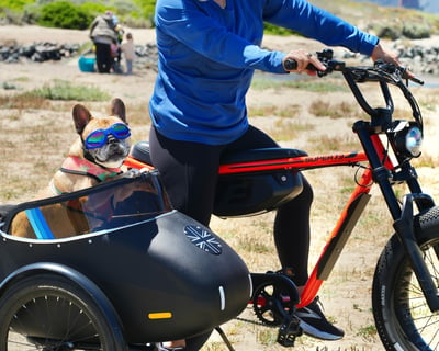 San Francisco Dog-Friendly Guided E-Bike Tour