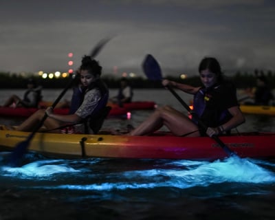 Fajardo Bioluminescent Kayak Tour