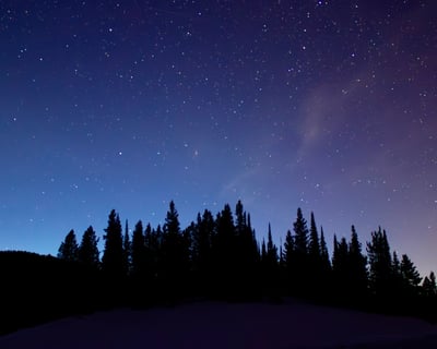 Private Yellowstone Stargazing & Evening Wildlife Safari