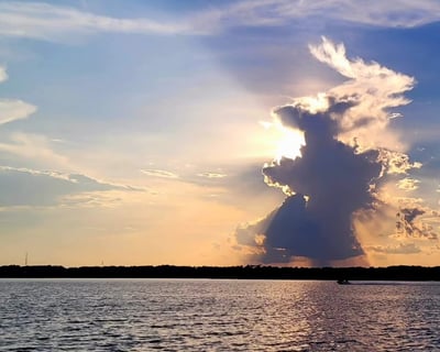 Spot Dolphins & Birds on Secluded Sunset Cruise