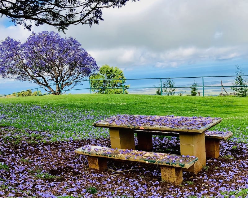 8-Hour Guided Haleakalā & Upcountry Maui Tour