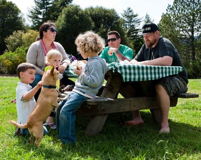 Picnic Basket Meal in Felton