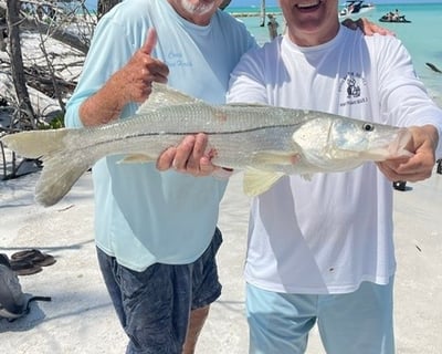 Guided Beach Snook Fishing Trip in Sarasota