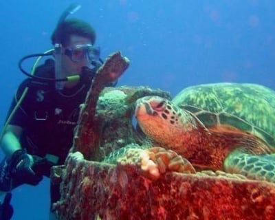 Honolulu Two-Tank Dive