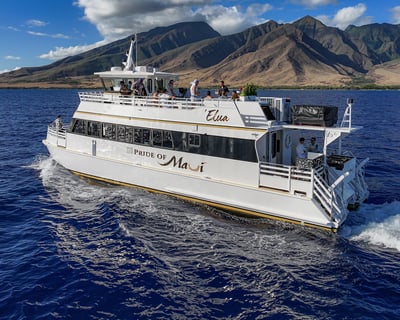 Pride of Maui 'Elua Luxury Molokini and Turtle Town Snorkel Tour