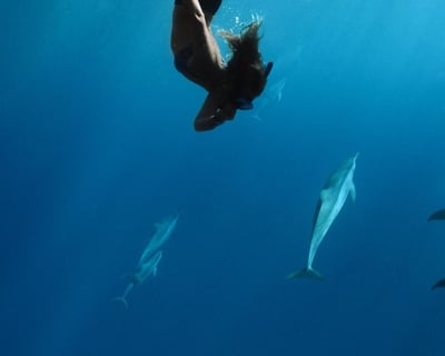 Lanai Snorkeling & Dolphin Search from Lahaina