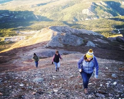 Denali 5-Hour Guided Hiking Tour