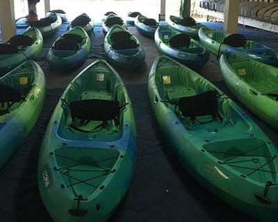 Naples 6-Hour Kayak & Paddleboard Rental