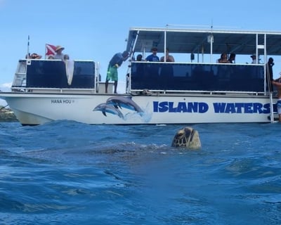 Honolulu Turtle Snorkeling Cruise