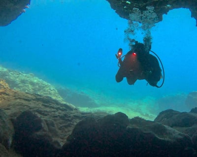 Private Guided Shore Dive Tour in Oahu
