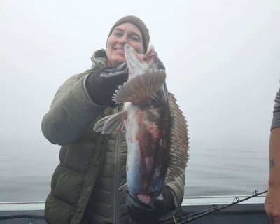 Charleston 4-Hour Rockfish Fishing Charter