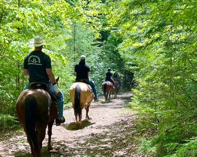 1-Hour Horseback Ride at Beech Mountain Base