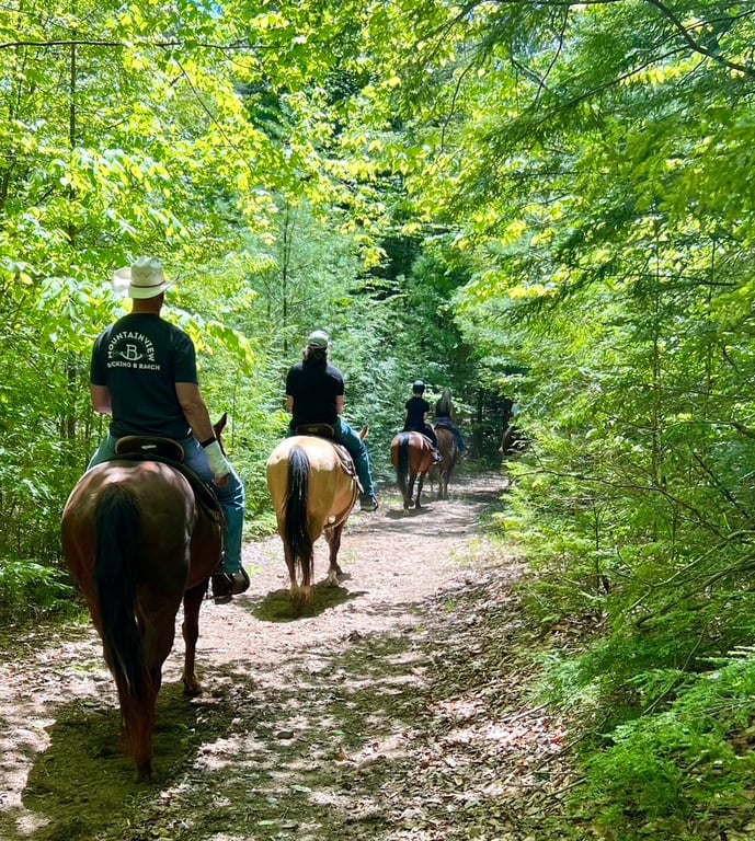 1-Hour Horseback Ride at Beech Mountain Base