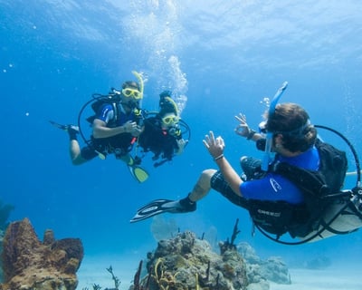 Electric Beach 1-Tank Shore Dive