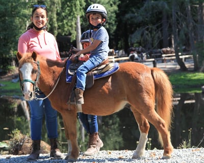 Kids Pony Time With Grooming and Pony Ride