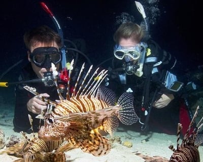 Miami Beach Night Diving Course