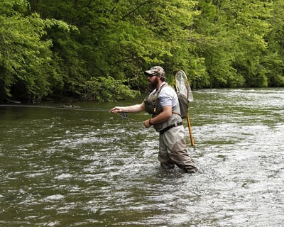 Muddy Creek Guided Trout Walk & Wade