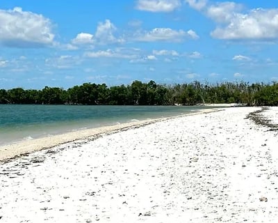 Explore Ten Thousand Islands Shelling Eco Tour