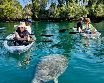 Paddle a Clear Kayak on a Crystal River Springs Tour