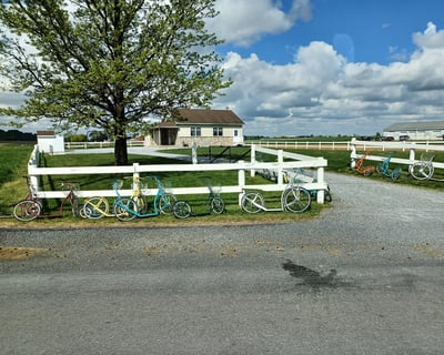 Lancaster Amish Culture Immersion & Farm Access
