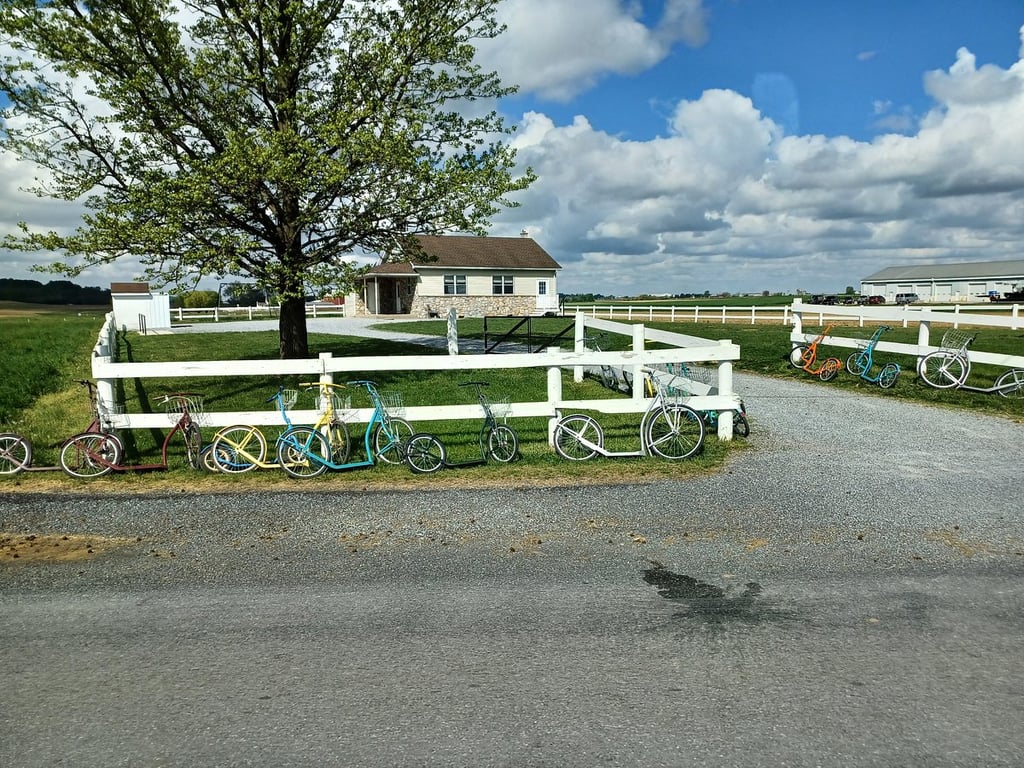 Lancaster Amish Culture Immersion & Farm Access