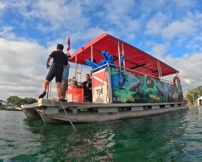 Crystal River Manatee Eco Tour