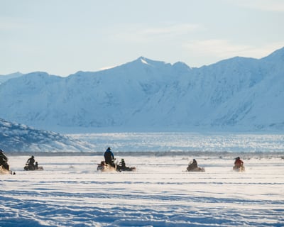 4-Hour Guided Snowmobile Tour in Palmer