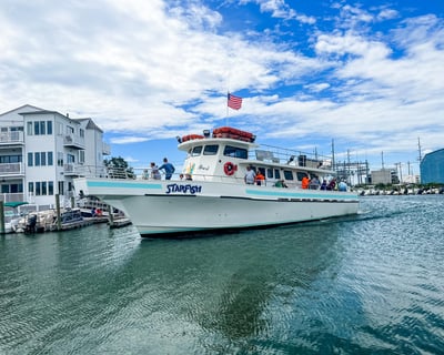 4-Hour Guided Fishing Trip in Sea Isle City