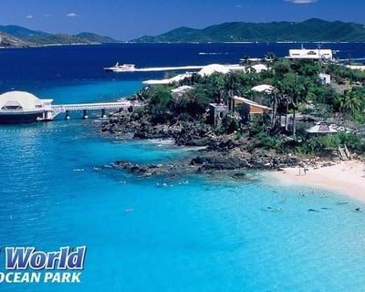 Full-Day Marine Life Exploration at Coral World Ocean Park