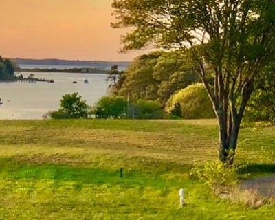Martha's Vineyard Island Tour & Menemsha Feast