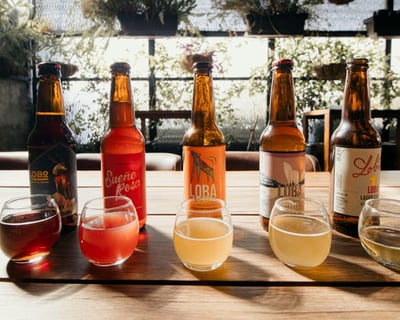 Beer Sensory Tasting Class in Duluth
