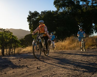 Paso Robles 2.5-Hour E-Bike Vineyard Tour & Tasting