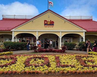 Oahu Circle Island Bus Tour