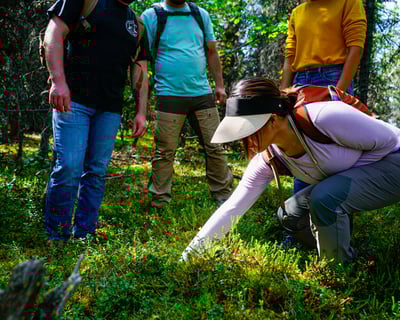 Denali Off-Trail Guided Hike Through Taiga Forest