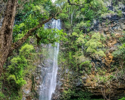 Full-Day Kayak Rental on Wailua River