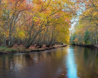 5-Hour Mullica River Canoe & Kayak Trip