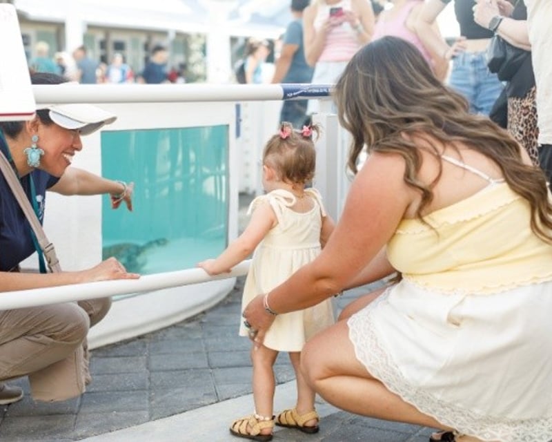 Family Sea Turtle Tour at Loggerhead Marinelife Center
