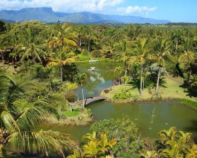 Self-Guided Formal Gardens Tour in Kilauea