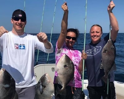 8-Hour Fishing Charter in Perdido Key