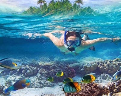 Honolulu Snorkeling Cruise