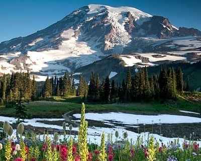 Explore Mount Rainier National Park From Seattle