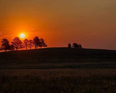 Sunrise Wildlife Jeep Safari in Custer State Park